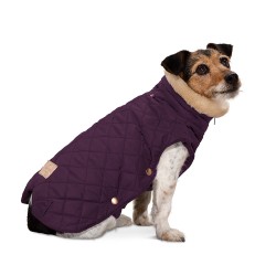 Eskadron Heritage Glossy quilted dog coat - Deep Berry