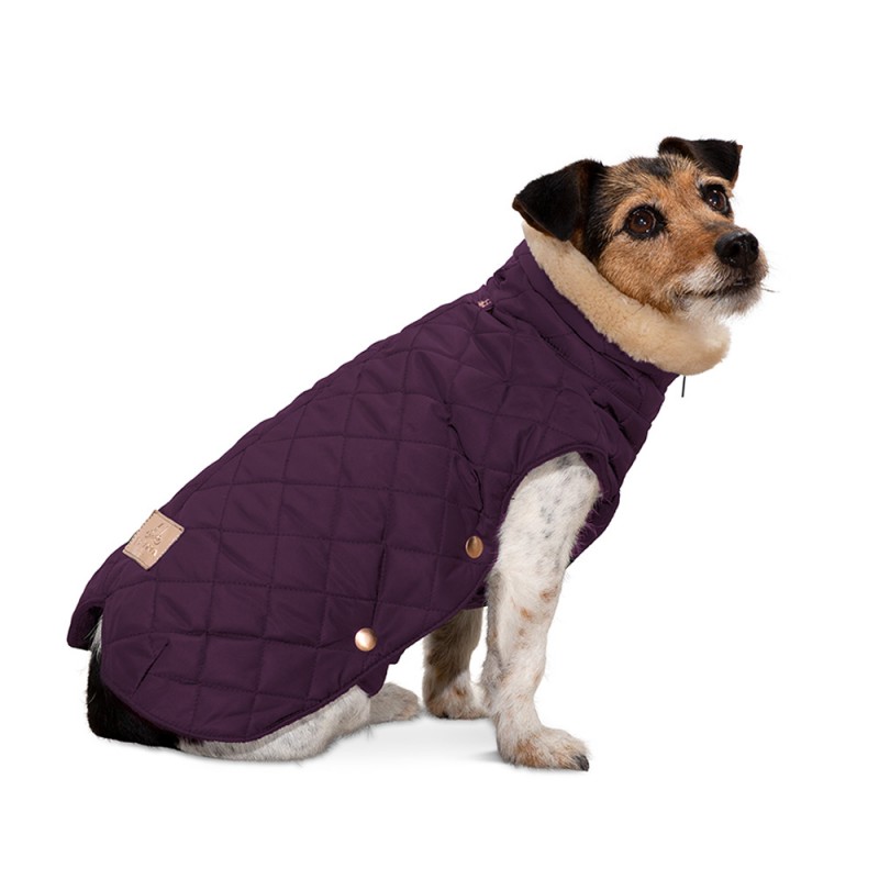 quilted dog coat