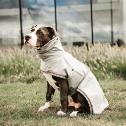 Kentucky dogwear Rain dog coat