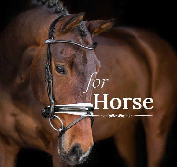 Equestrian Equipment Premium Equestrian Clothing Equestrian Online