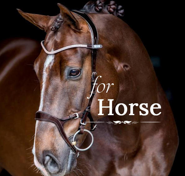 Equestrian Equipment Premium Equestrian Clothing Equestrian Online