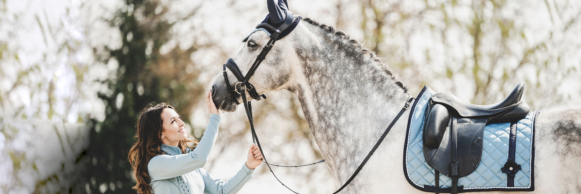 Equestrian Equipment Premium Equestrian Clothing Equestrian Online