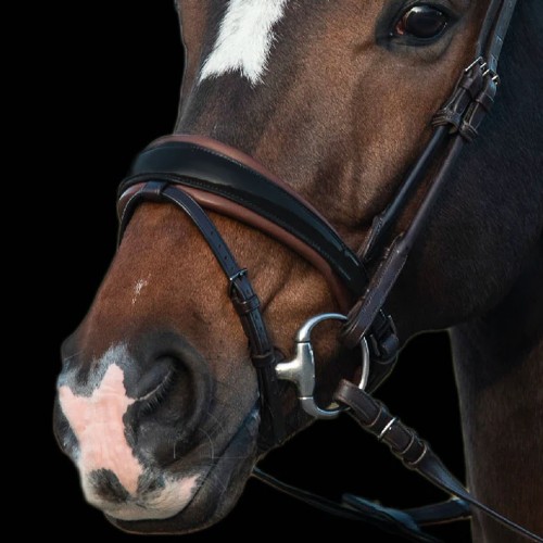 PS of Sweden GP Black and Brown lined  Snaffle bridle