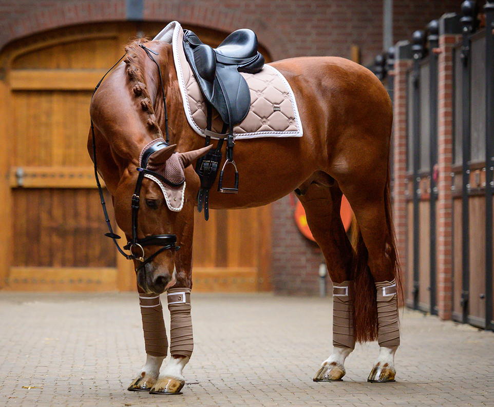 Equestrian Equipment Premium Equestrian Clothing Equestrian Online