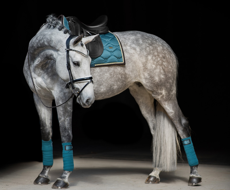 Equestrian Equipment Premium Equestrian Clothing Equestrian Online